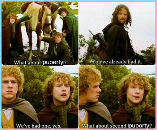 A Lord of the Rings meme about second puberty